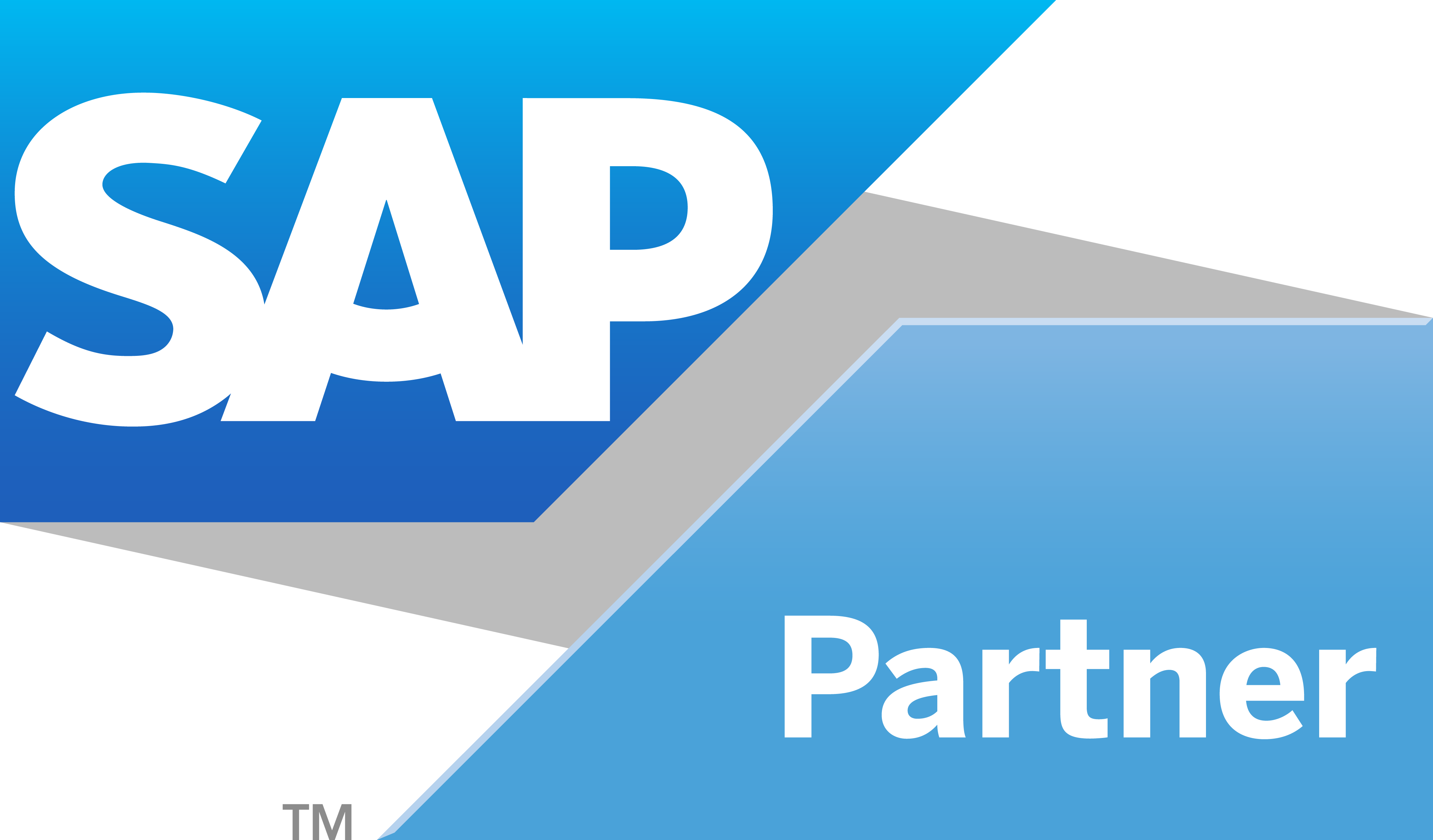 SAP Partner