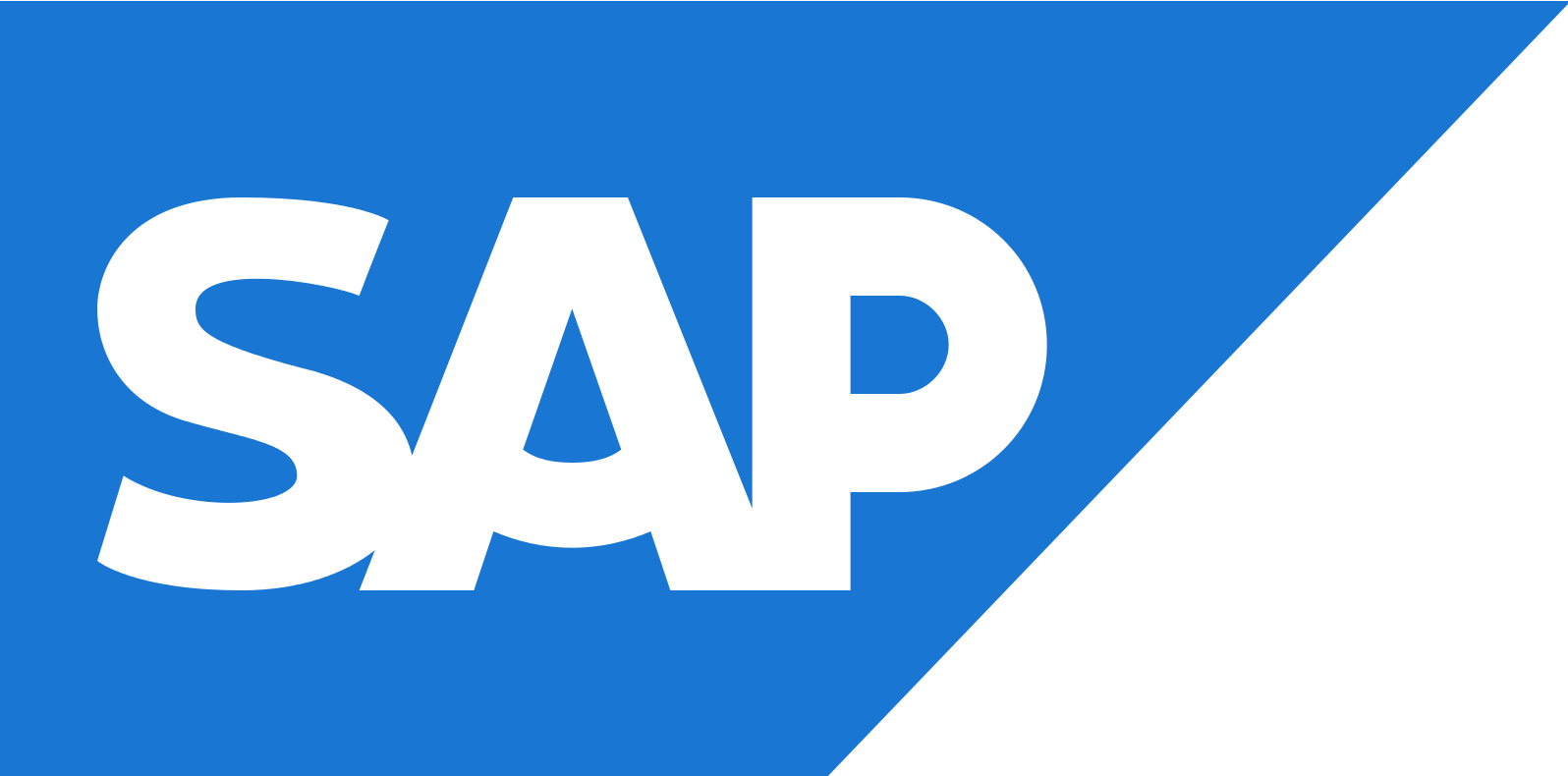 Transforming Business with SAP Technology Platform Solutions