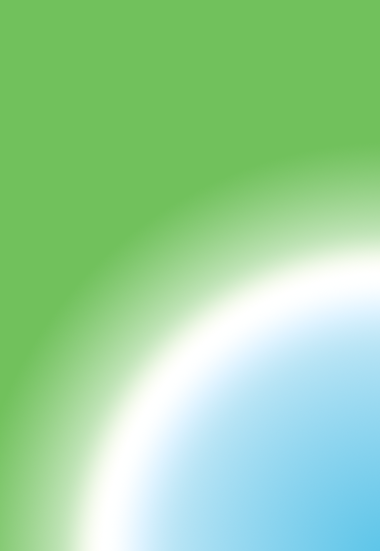 MVP Web Development Image